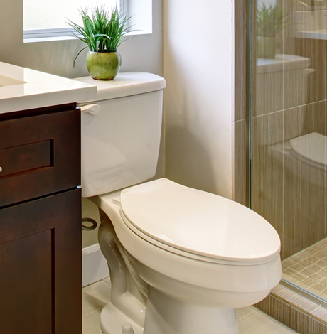 Modern toilet installation